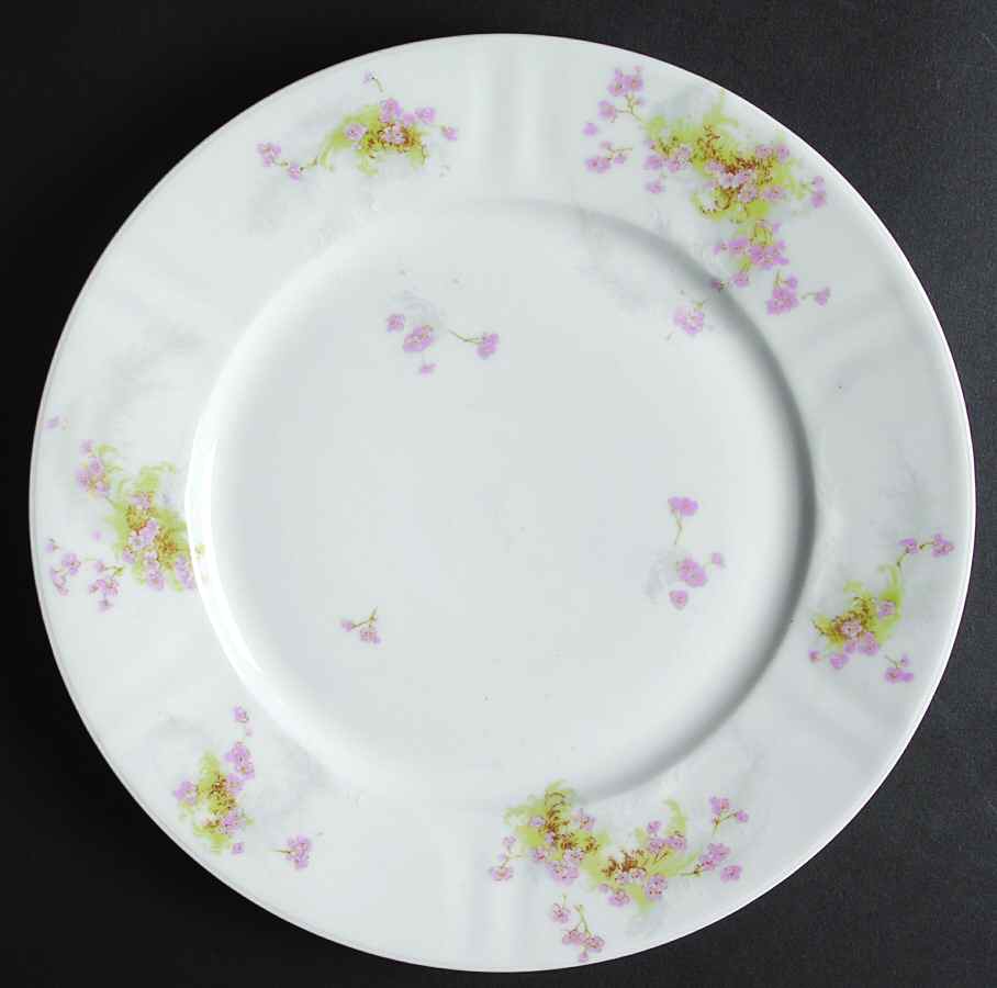 Schleiger 836-8 Dinner Plate by Haviland-1