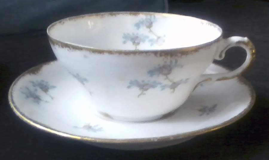 Schleiger 316-7 Flat Cup & Saucer Set by Haviland-1