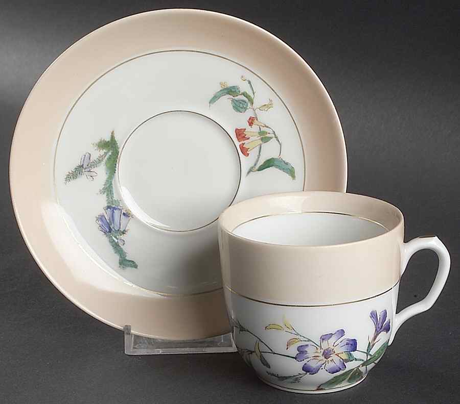 H3880 Flat Cup & Saucer Set by Haviland-1