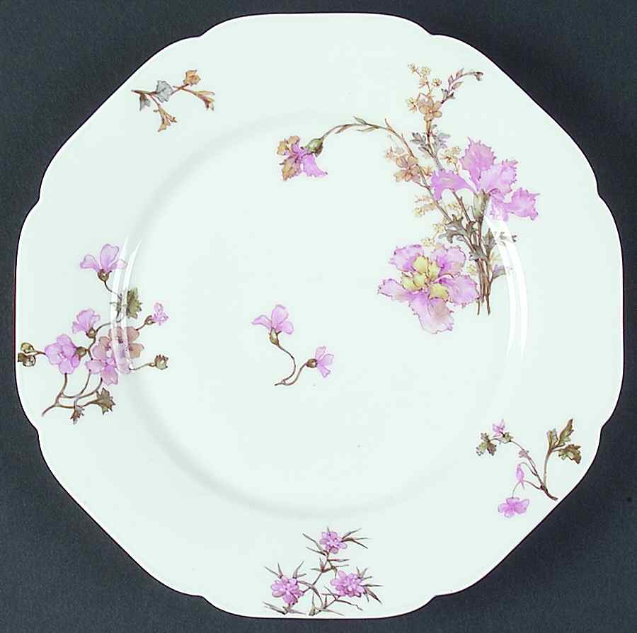 H3884 Dinner Plate by Haviland-1
