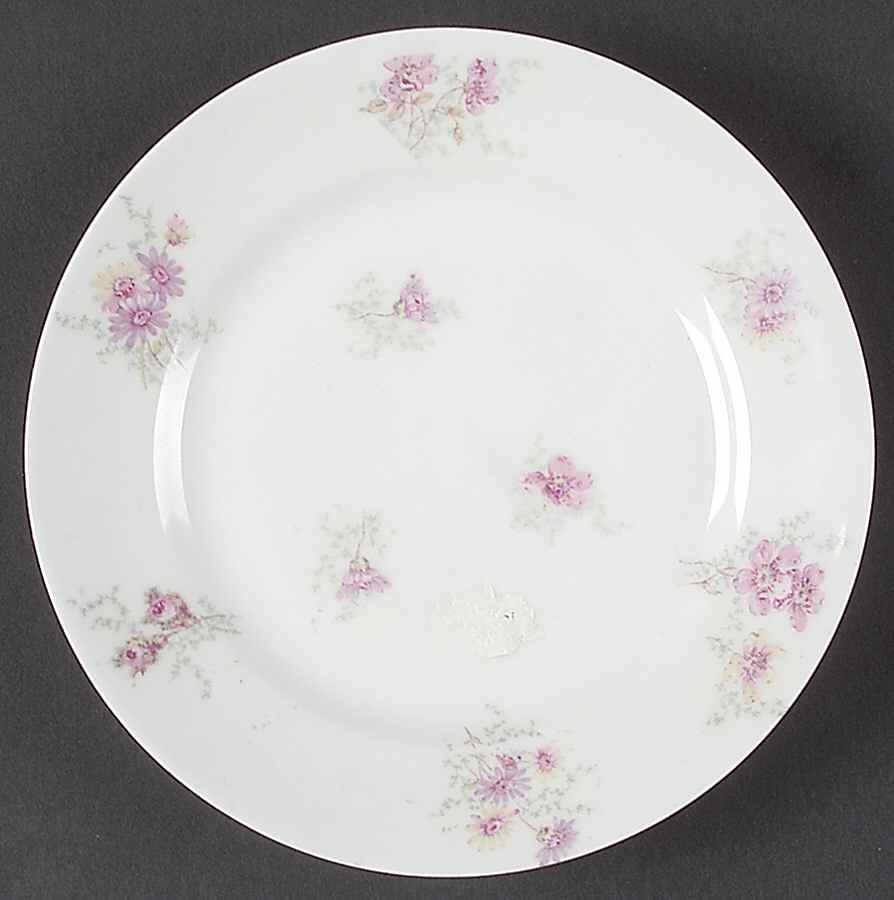 H3889 Salad Plate by Haviland-1