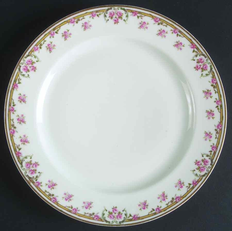 H3896 Dinner Plate by Haviland-1