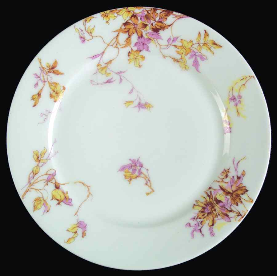 Schleiger 1152-25 Salad Plate by Haviland-1