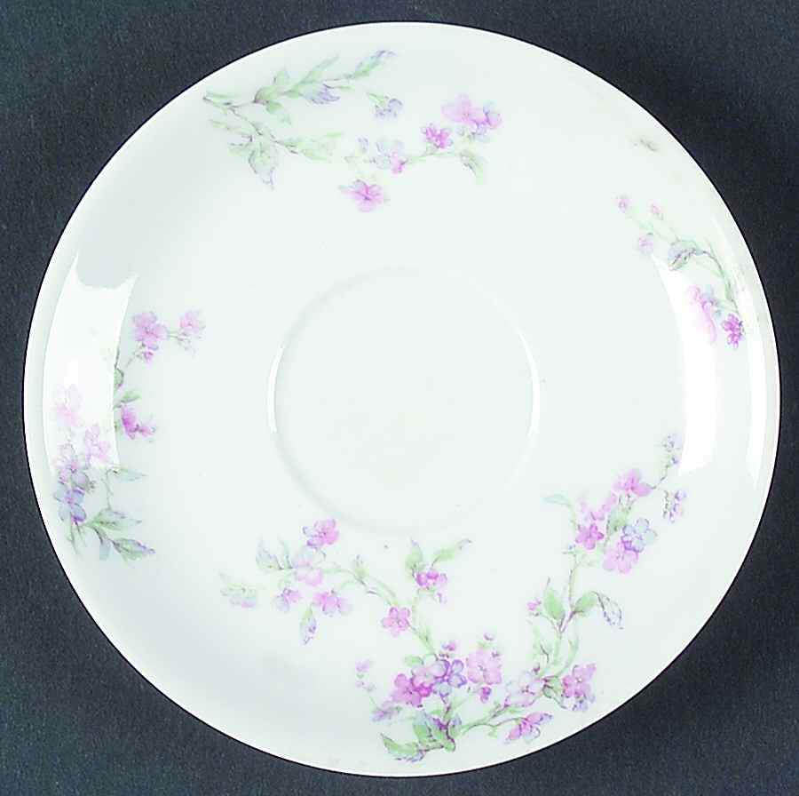Schleiger 249-2 Saucer by Haviland-1