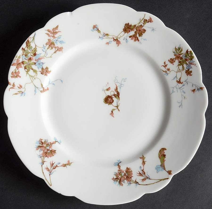 Schleiger 1152-28 Salad Plate by Haviland-1