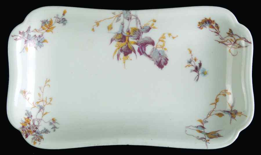 Schleiger 1152-29 Relish by Haviland-1