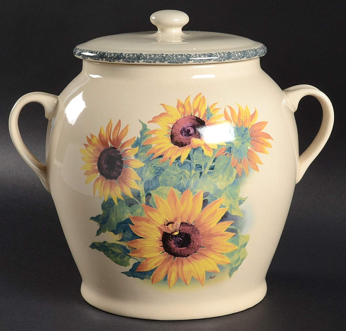 Sunflower Large Canister & Lid by Home & Garden Party-1