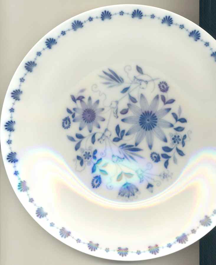 HUT1887 Dinner Plate by Hutschenreuther-1