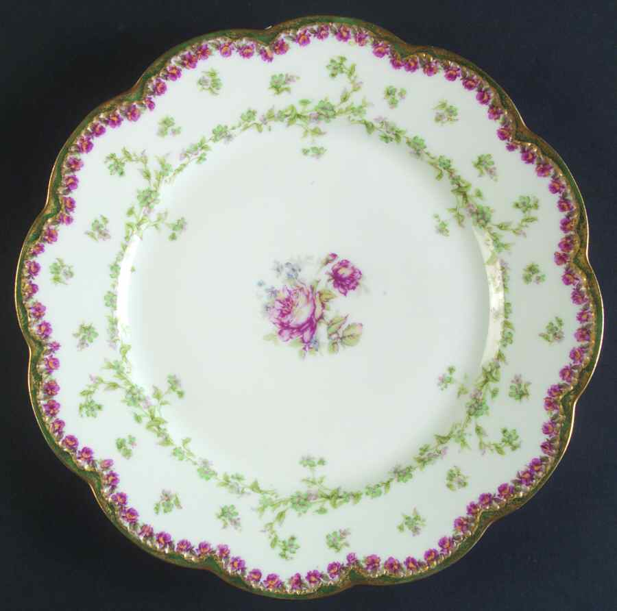 H3924 Dinner Plate by Haviland-1
