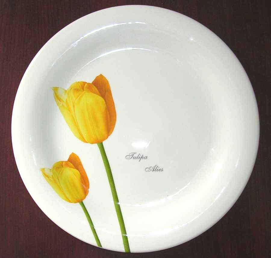 HLA15 Dinner Plate by Holland-1