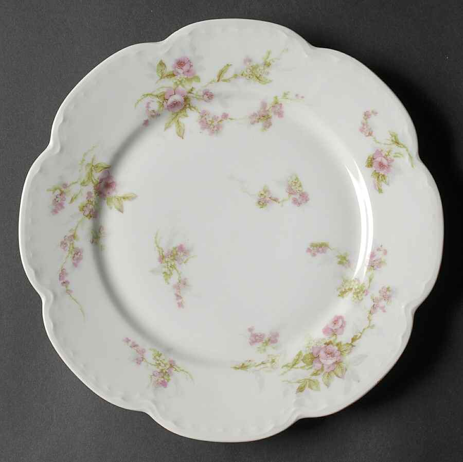 Schleiger 324-2 Dinner Plate by Haviland-1