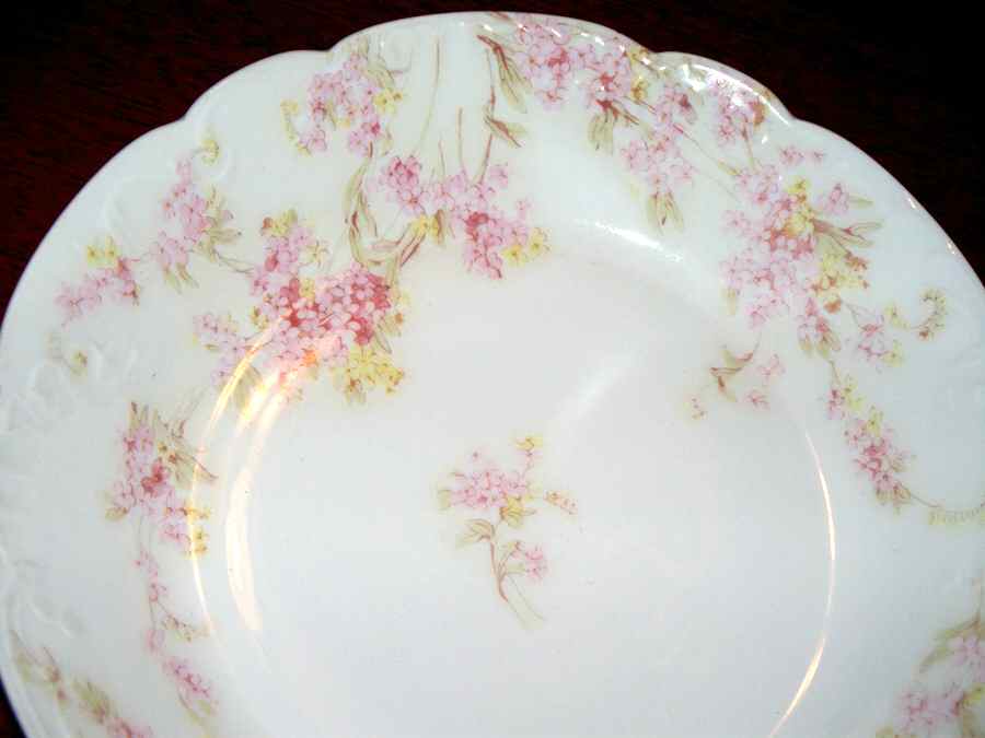 Schleiger 263-5 Dinner Plate by Haviland-1