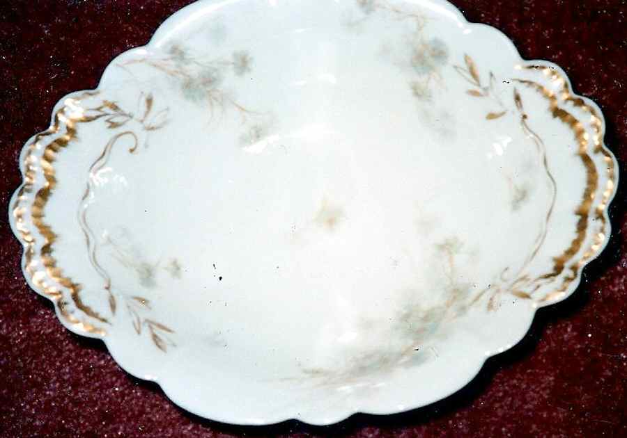 Schleiger 431-7 10" Oval Vegetable Bowl by Haviland-1