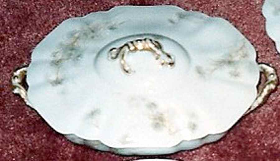 Schleiger 431-7 Oval Covered Vegetable by Haviland-1