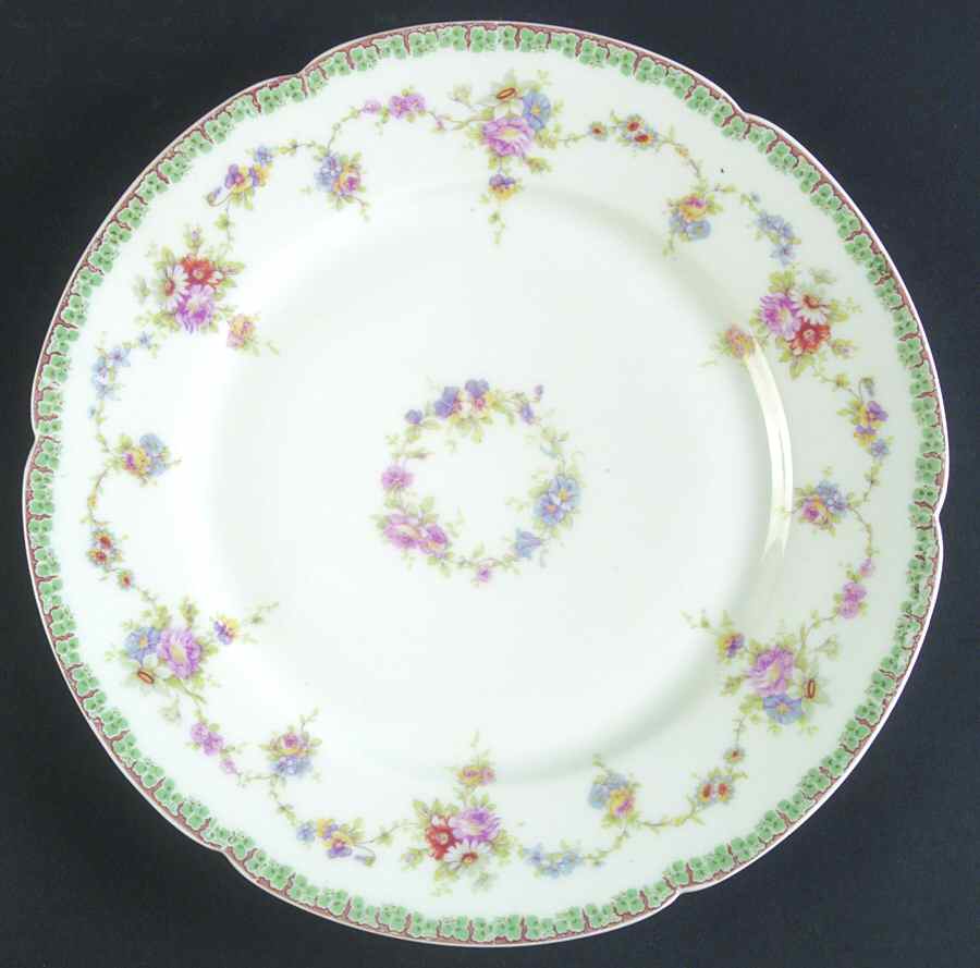 H3959 Dinner Plate by Haviland-1