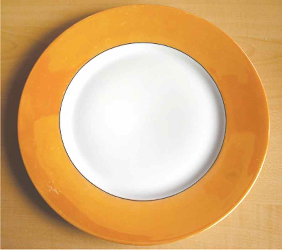 HUT1920 Dinner Plate by Hutschenreuther-1