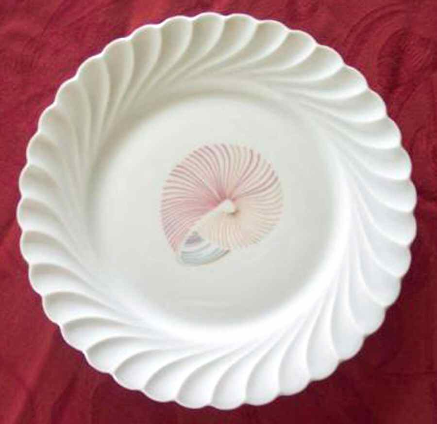 H3964 Dinner Plate by Haviland-1