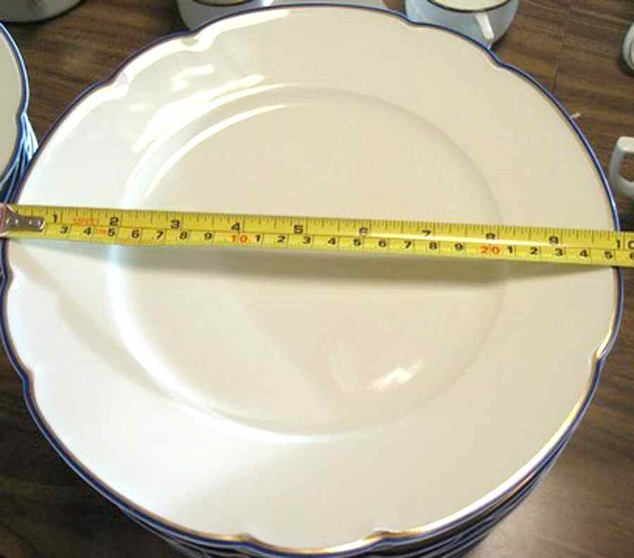 HUT1925 Dinner Plate by Hutschenreuther-1