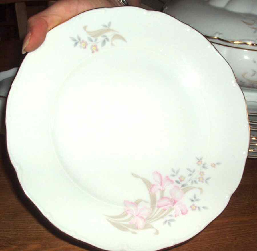 HCZ151 Dinner Plate by Haas-Czjzek Coronado-1