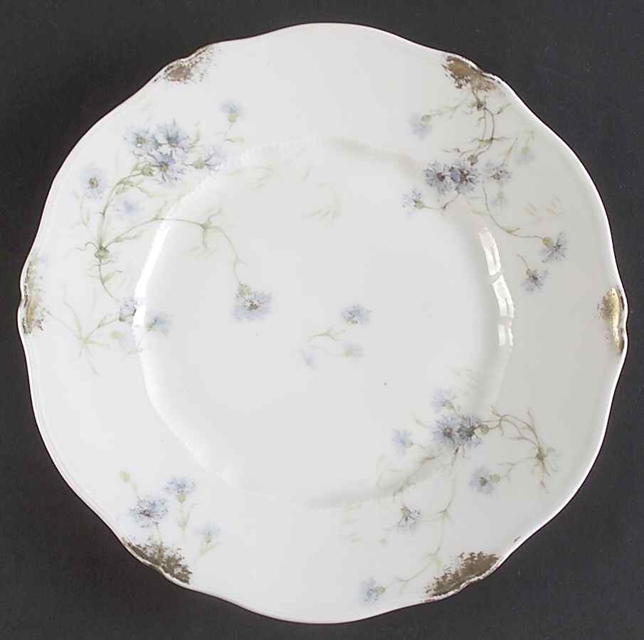 Schleiger 1019-3 Salad Plate by Haviland-1