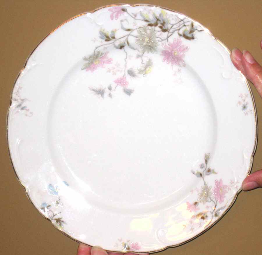 26988 Dinner Plate by Hutschenreuther-1