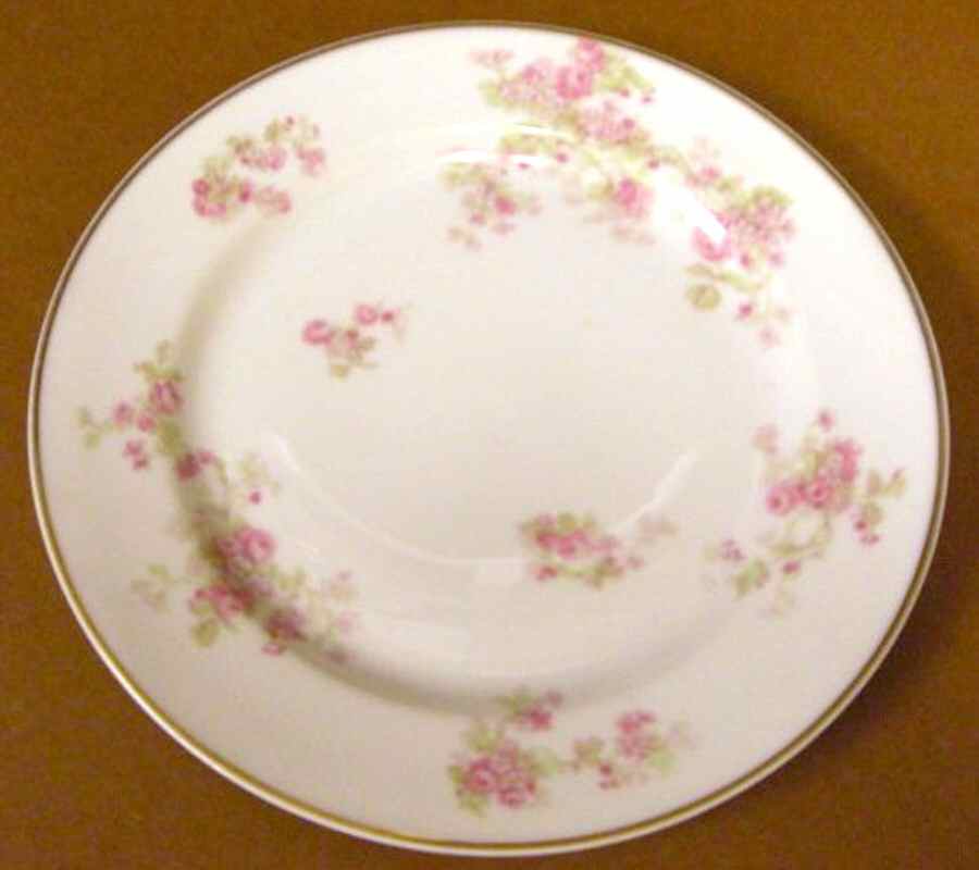 H3974 Dinner Plate by Haviland-1