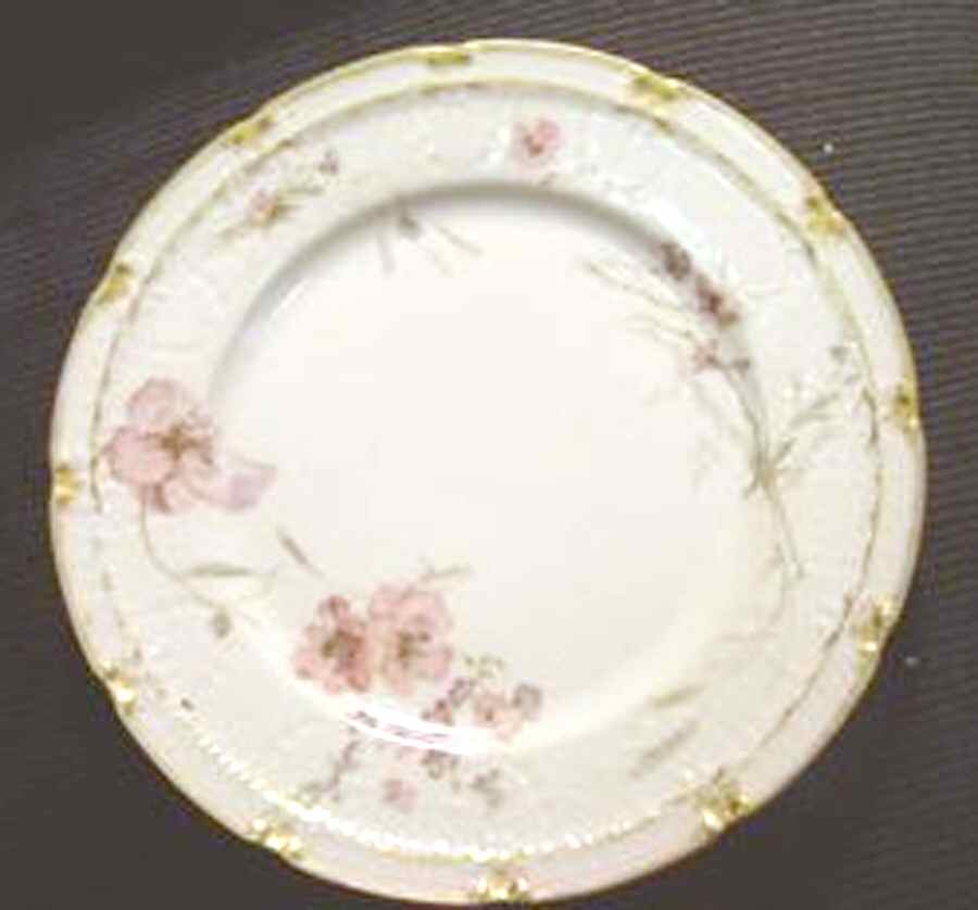 H3975 Dinner Plate by Haviland-1
