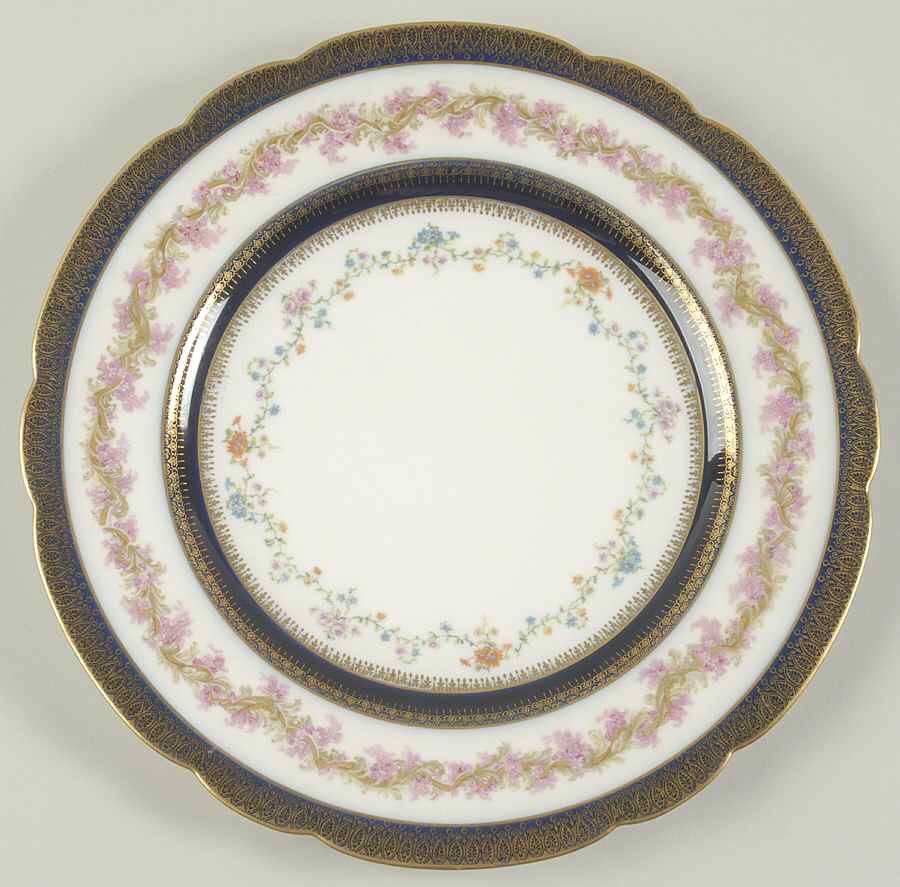 H3979 Dinner Plate by Haviland-1