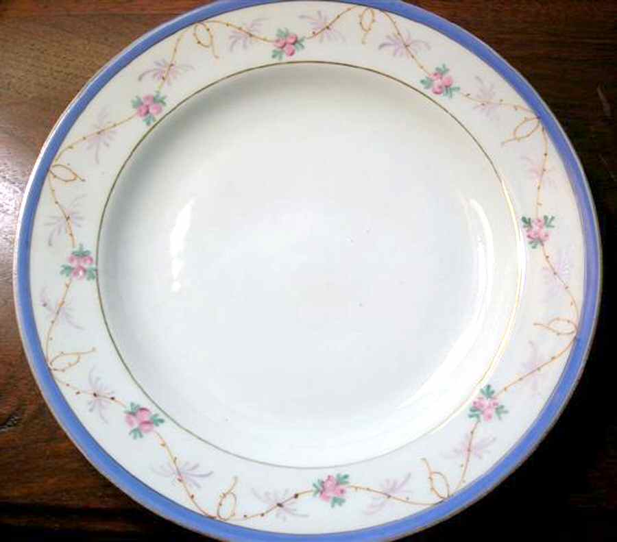 H3982 Dinner Plate by Haviland-1