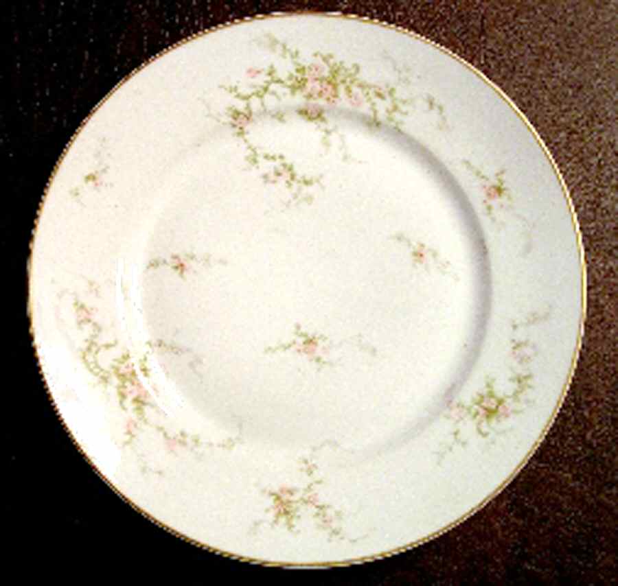 Schleiger 318-11 Dinner Plate by Haviland-1