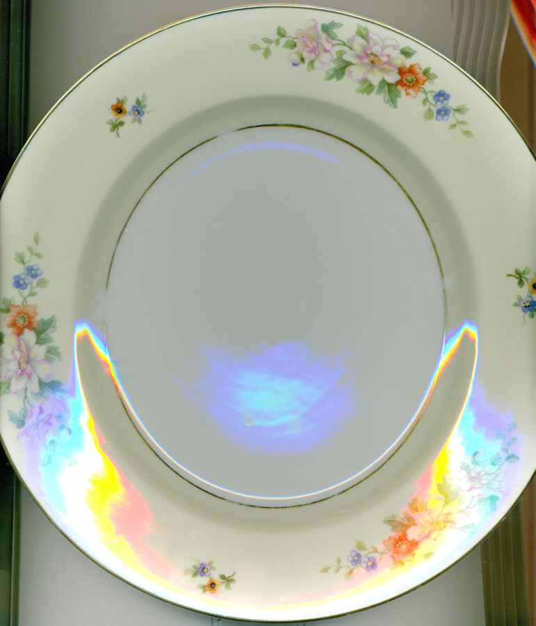 HC1169 Dinner Plate by Heinrich - H&C-1