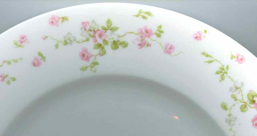H3988 Dinner Plate by Haviland-1