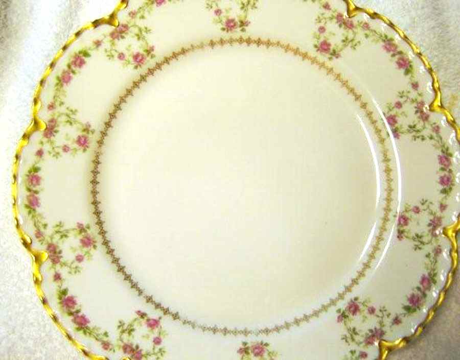 H3989 Dinner Plate by Haviland-1