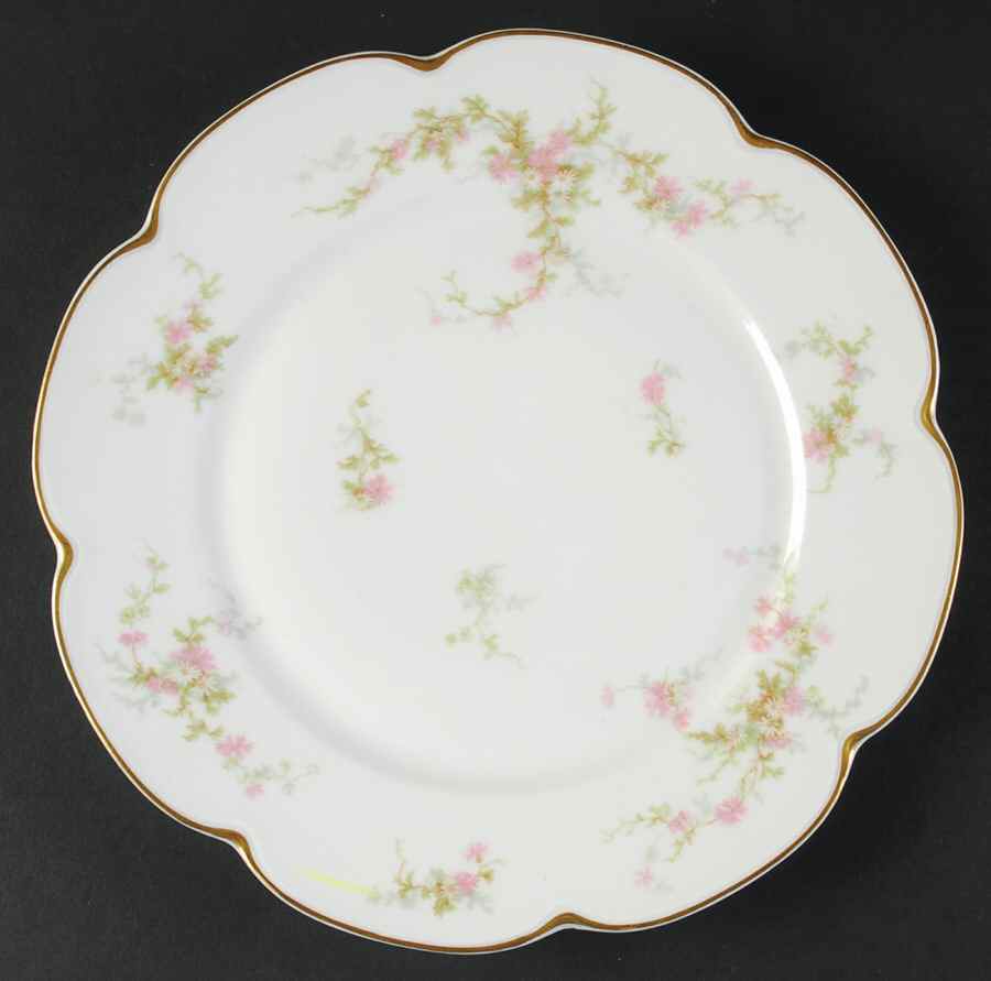 Schleiger 1043-2 Dinner Plate by Haviland-1