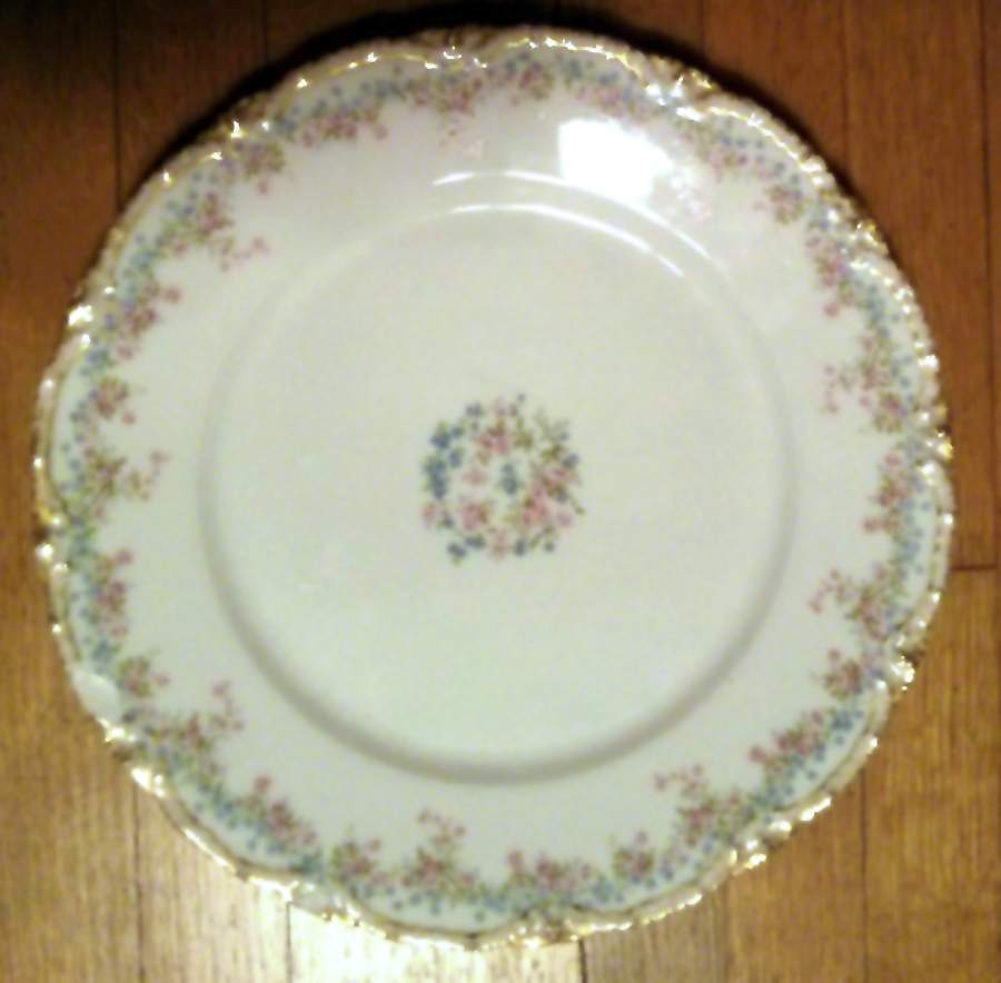 Schleiger 610-2 Dinner Plate by Haviland-1