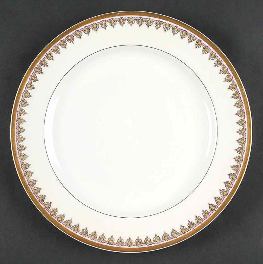 H3995 Dinner Plate by Haviland-1