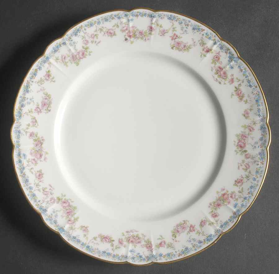 Schleiger 271-6 Dinner Plate by Haviland-1