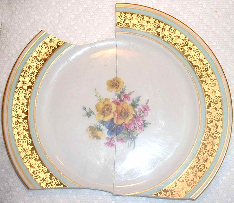 HUT1950 Salad Plate by Hutschenreuther-1