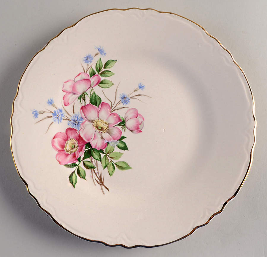 HLC3819 Dinner Plate by Homer Laughlin -1