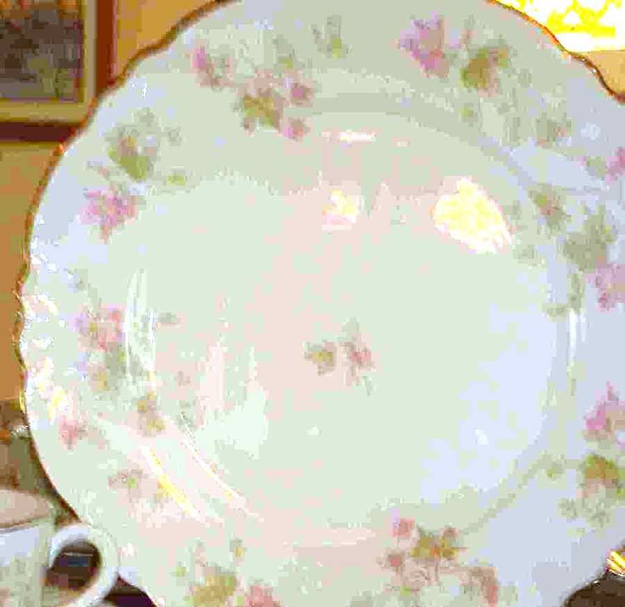 HLC3820 Dinner Plate by Homer Laughlin -1