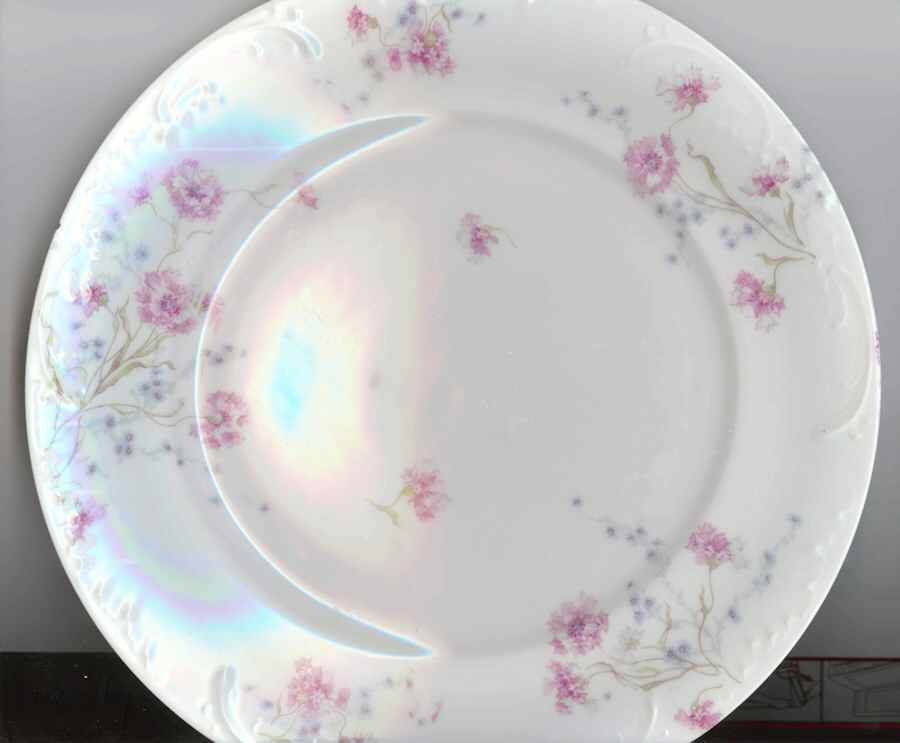 H4012 Dinner Plate by Haviland-1