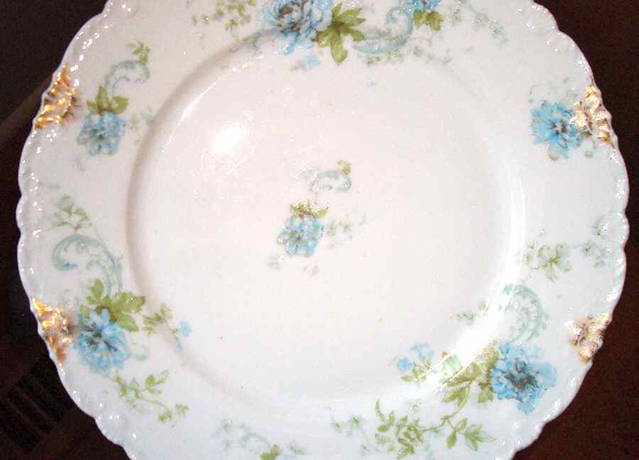 Schleiger 335-4 Dinner Plate by Haviland-1