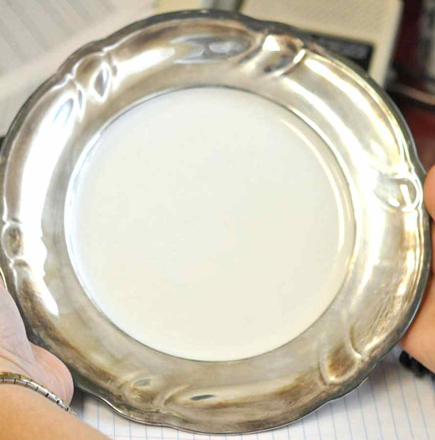 HUT1960 Dinner Plate by Hutschenreuther-1