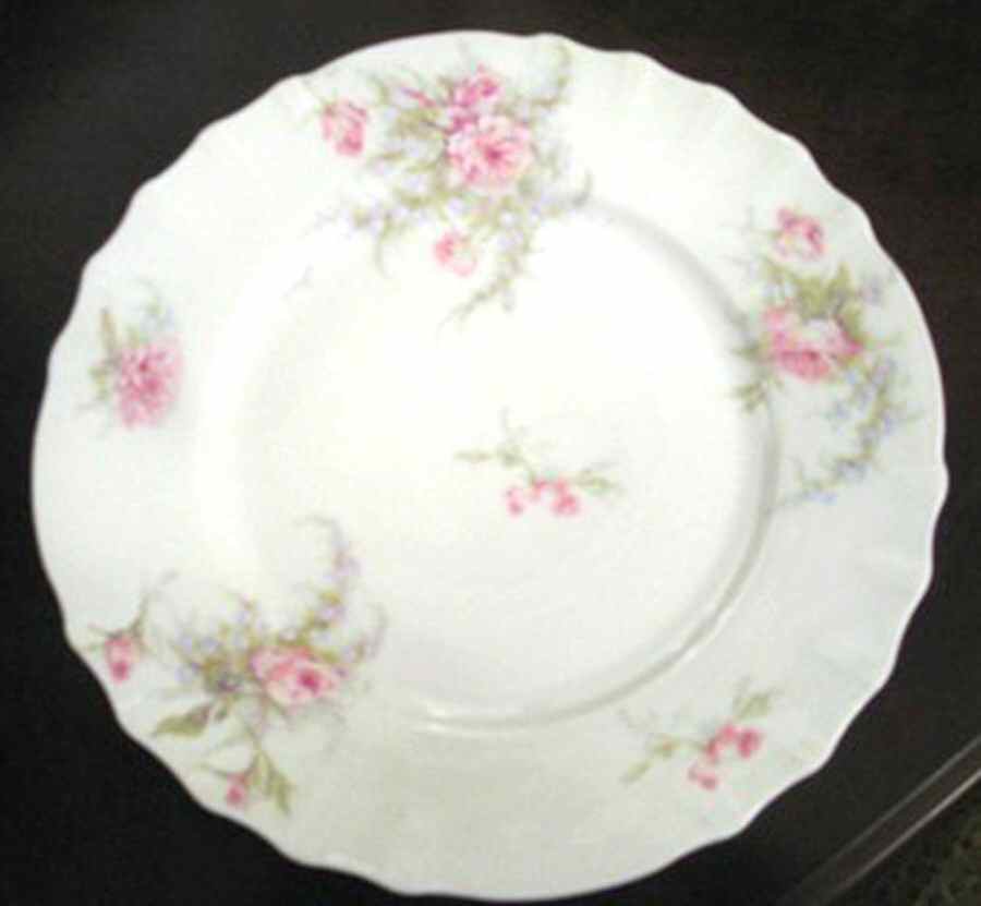 H4015 Dinner Plate by Haviland-1