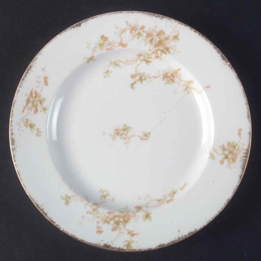 Schleiger 1023-5 Salad Plate by Haviland-1