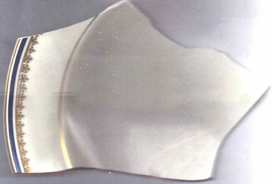 HUT1973 Dinner Plate by Hutschenreuther-1