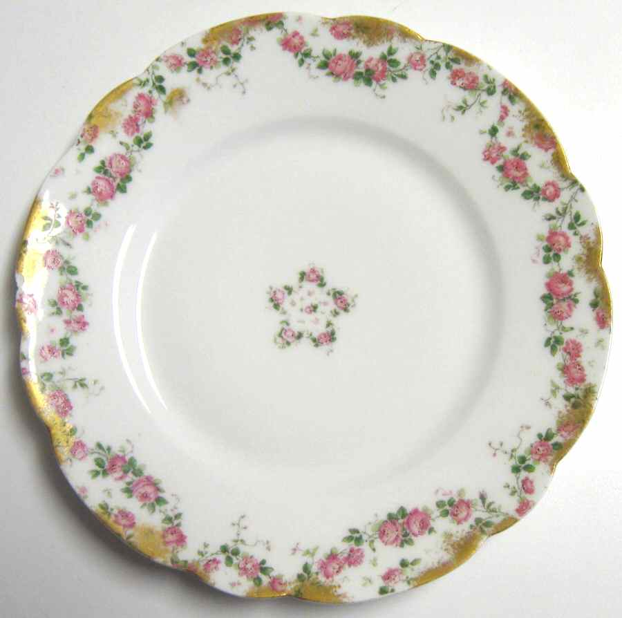 H4036 Dinner Plate by Haviland-1