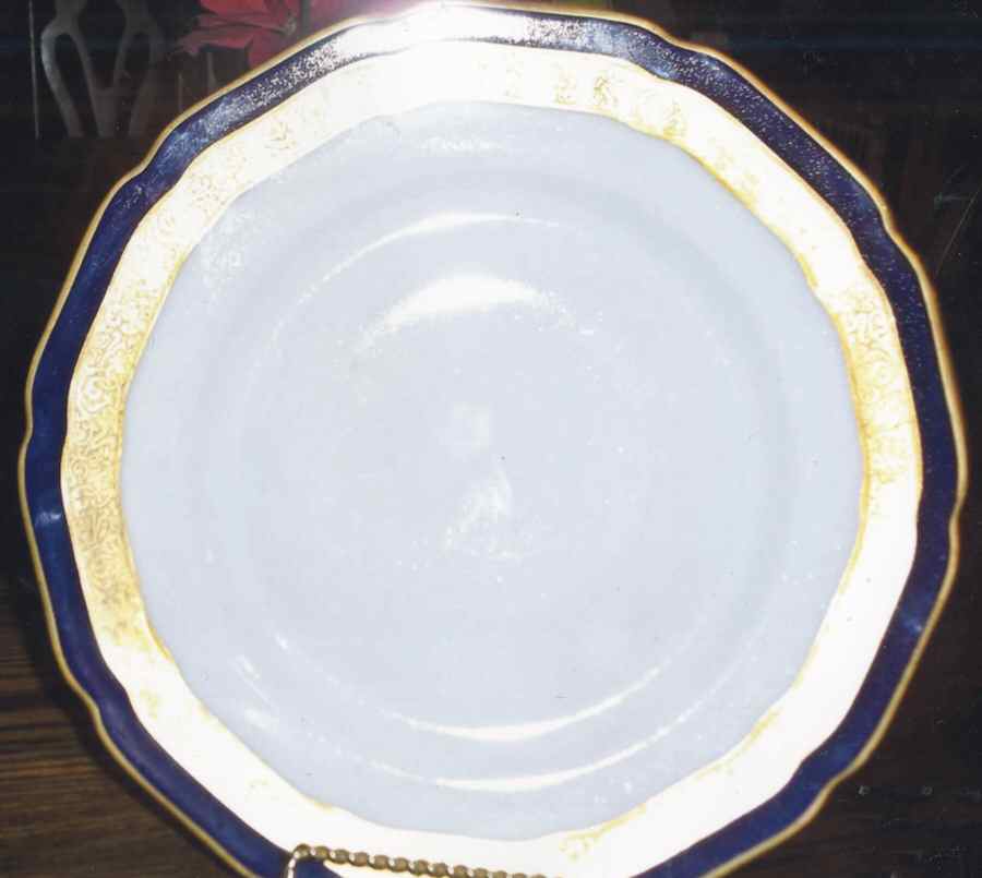 01808 Dinner Plate by Hutschenreuther-1