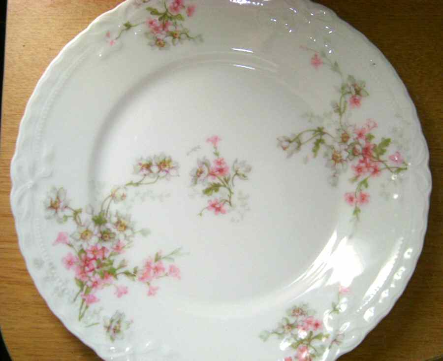 H4044 Bread & Butter Plate by Haviland-1