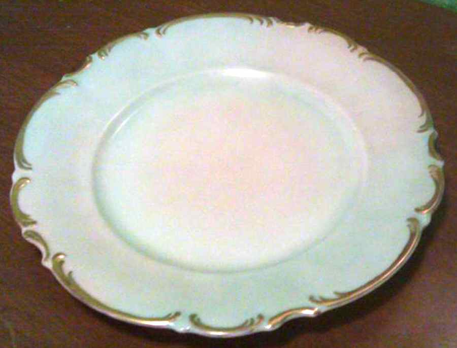 HUT1981 Dinner Plate by Hutschenreuther-1